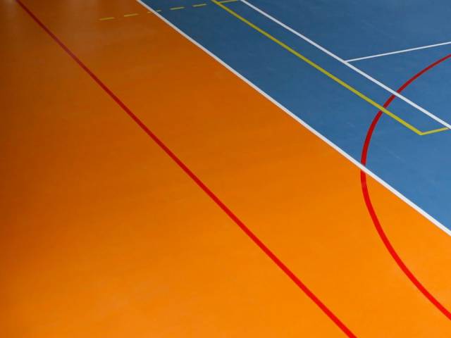 Линолеум для СПОРТА 43/0.6 - 3