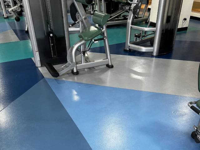 Линолеум для СПОРТА 60/1.0 - 1