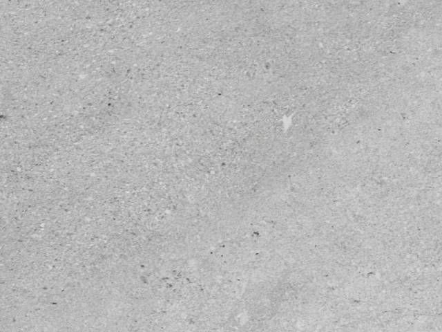 SPC плитка WALL STONE iDK Дизайн - БЕТОН НАТУРАЛЬНЫЙ 12шт