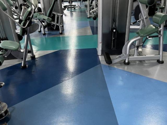 Линолеум для СПОРТА 60/1.0 - 4