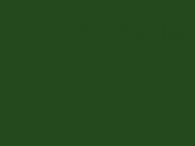 Линолеум для СПОРТА 43/0.6 Дизайн - ЗЕЛЁНЫЙ 2.0 м