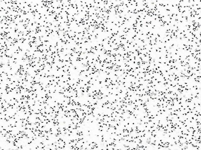 Линолеум промышленный ECOSAFE Дизайн - SAFETY FLOOR 1137-20-279 2.0 м