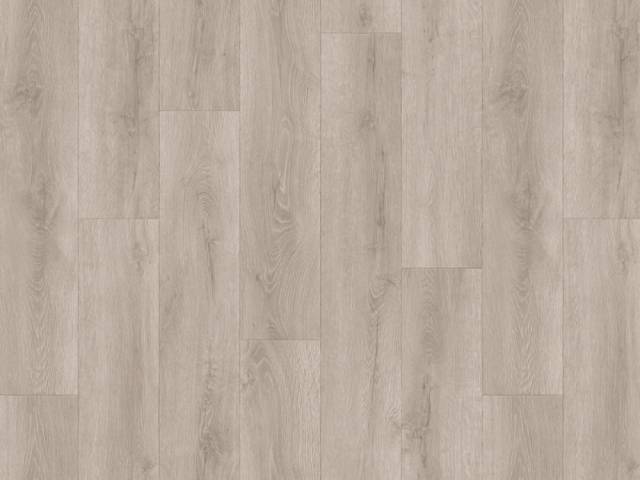 Линолеум бытовой ГЛАДИАТОР Дизайн - ДУБ ФОРМОСА 002 2.0 м