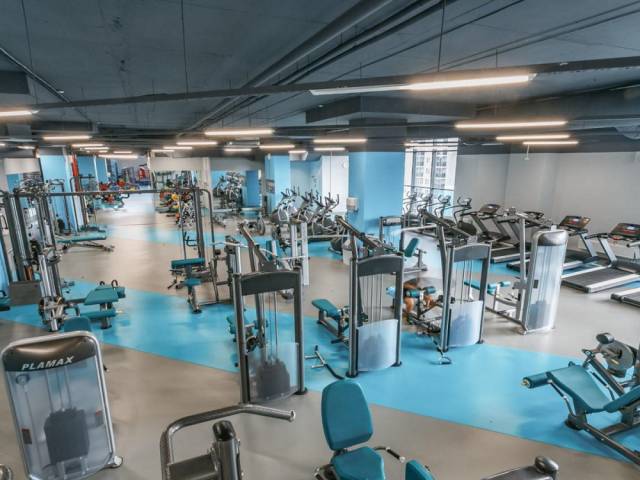 Линолеум спортивный ACTION 65 - 4